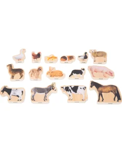 Blocchi in Legno di Betulla FSC - Animali Domestici - 15 Pezzi - 0+