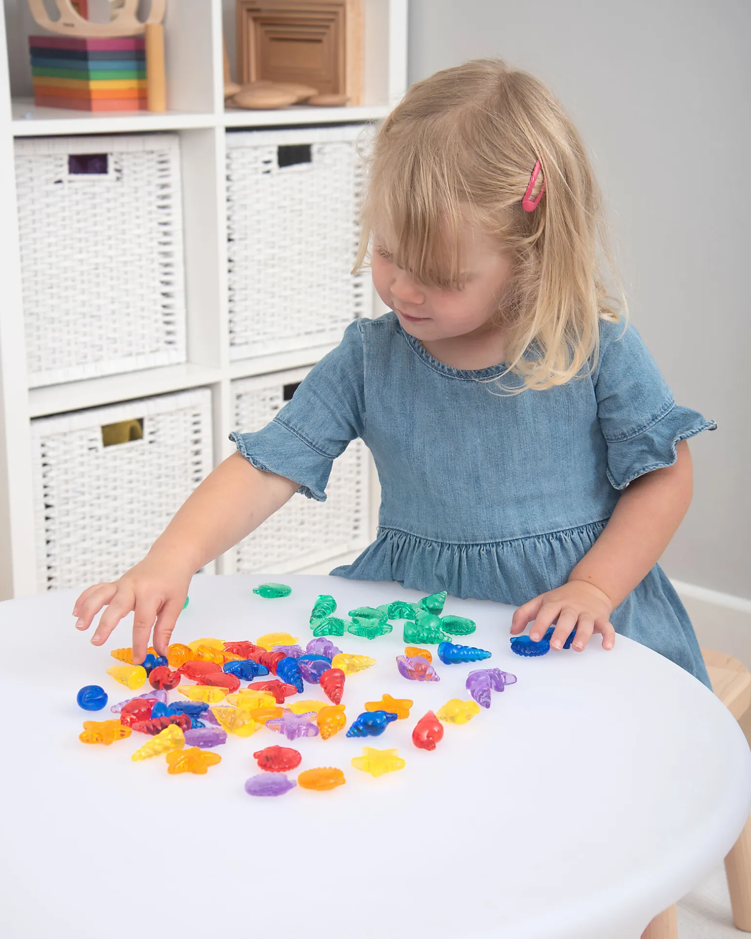 Conchiglie Traslucide - Rosso/Arancione/Giallo/Verde/Blu/Viola - da 3 Anni - Per Lavagna Luminosa