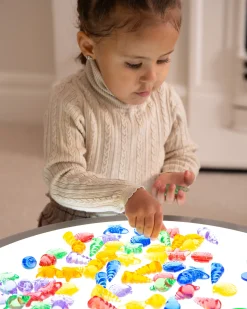 Conchiglie Traslucide - Rosso/Arancione/Giallo/Verde/Blu/Viola - da 3 Anni - Per Lavagna Luminosa