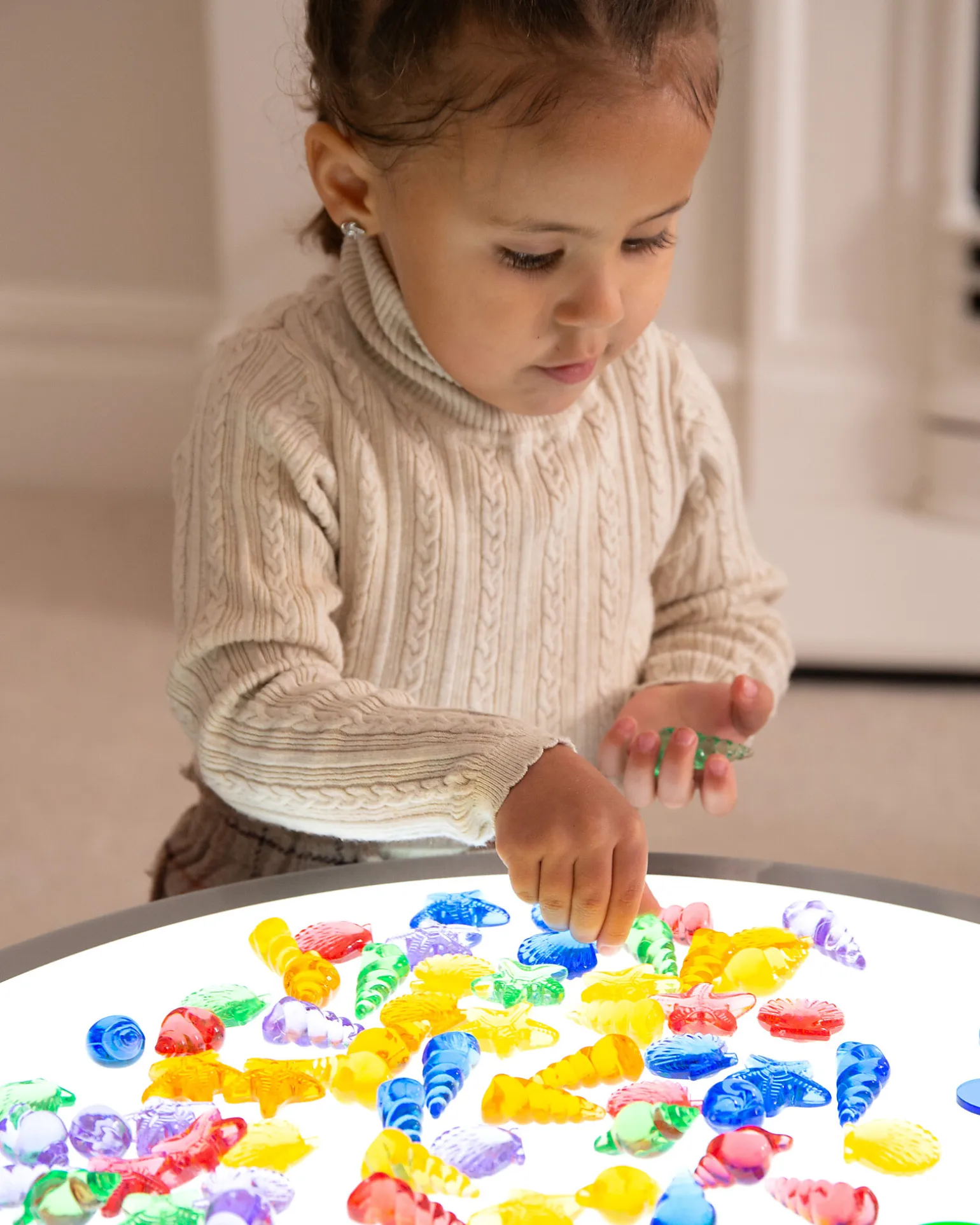 Conchiglie Traslucide - Rosso/Arancione/Giallo/Verde/Blu/Viola - da 3 Anni - Per Lavagna Luminosa