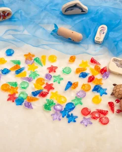 Conchiglie Traslucide - Rosso/Arancione/Giallo/Verde/Blu/Viola - da 3 Anni - Per Lavagna Luminosa