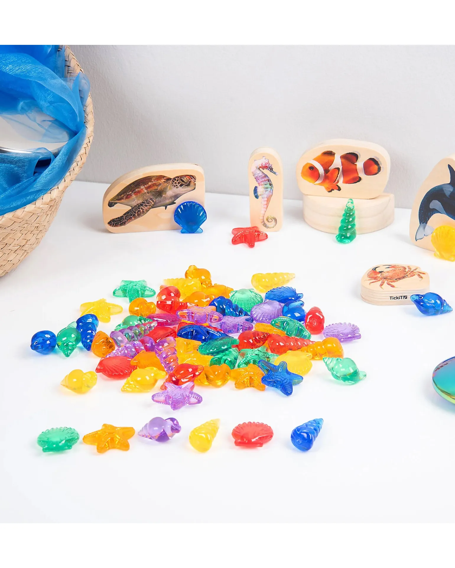 Conchiglie Traslucide - Rosso/Arancione/Giallo/Verde/Blu/Viola - da 3 Anni - Per Lavagna Luminosa
