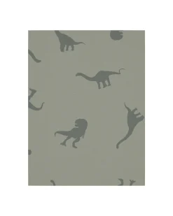 Confezione da 3 Boxer - Verde Agave - Dinosauri - Cotone Bio