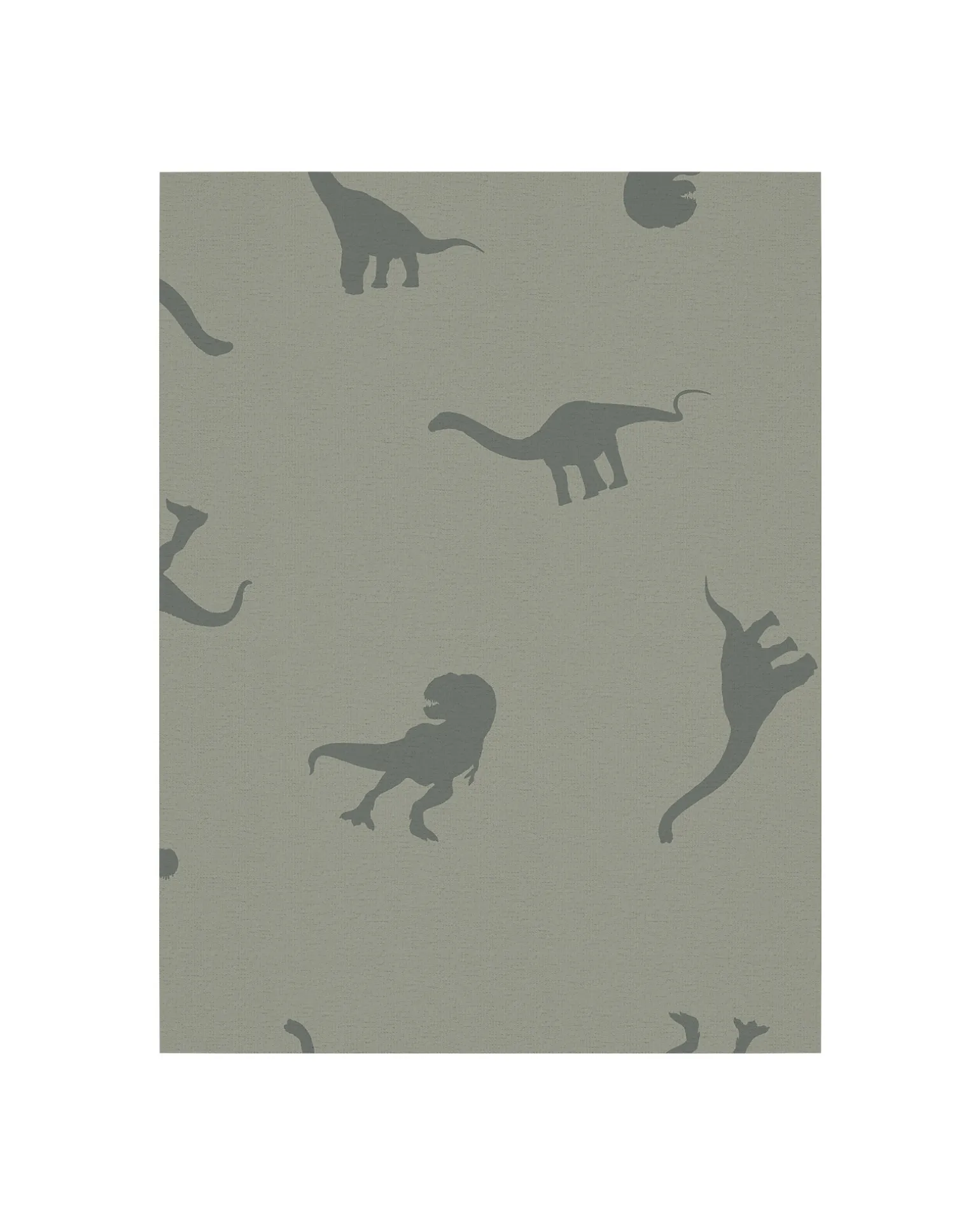 Confezione da 3 Boxer - Verde Agave - Dinosauri - Cotone Bio