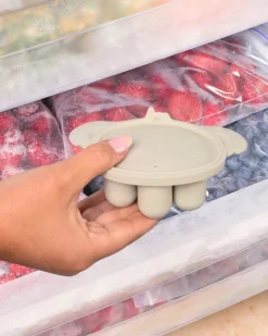 Contenitore in Silicone per Freezer - Dune - 7 Scomparti