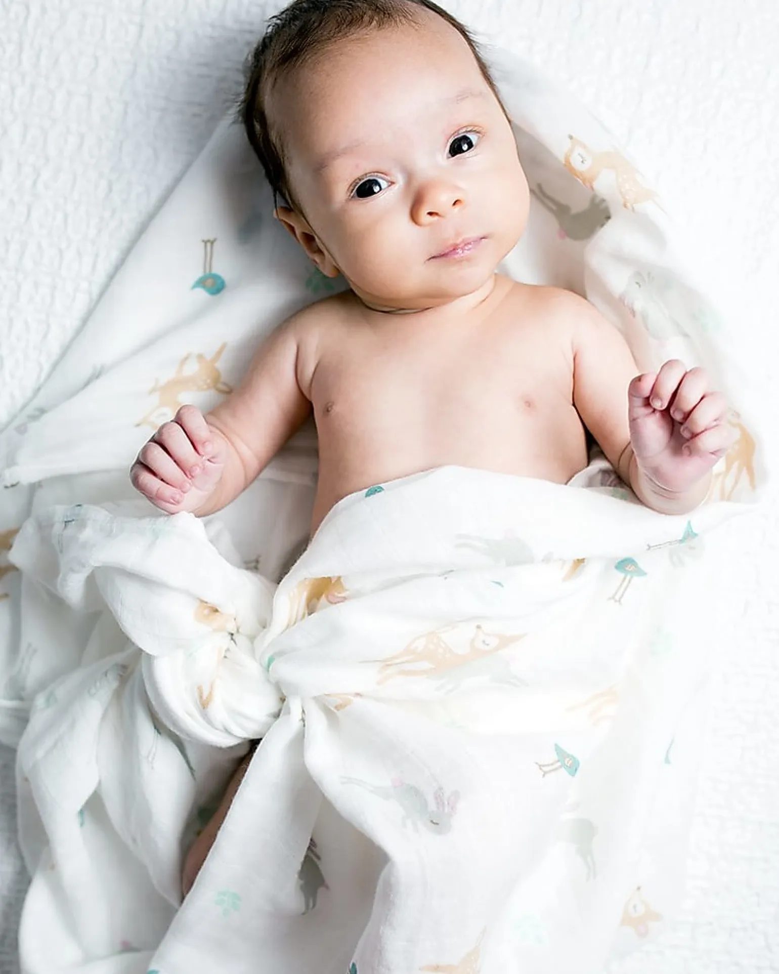 Copertina Swaddle 120 x 120 cm, Cerbiatti e Coniglietti - 100% mussola di cotone
