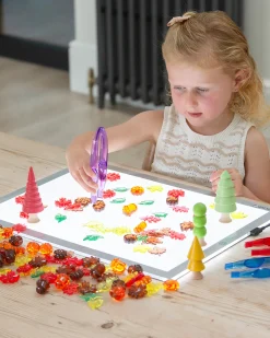 Foglie e Semi Traslucidi - Rosso/Giallo/Arancione/Marrone/Verde - da 3 Anni - Per Lavagna Luminosa