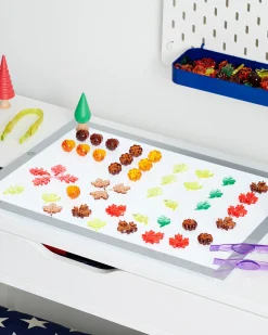 Foglie e Semi Traslucidi - Rosso/Giallo/Arancione/Marrone/Verde - da 3 Anni - Per Lavagna Luminosa