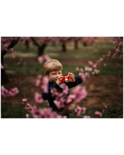 Fotocamera Digitale Kiimento - Akito la Volpe - Foto e Video - Dai 4 Anni