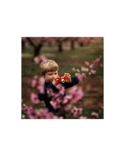 Fotocamera Digitale Kiimento - Akito la Volpe - Foto e Video - Dai 4 Anni