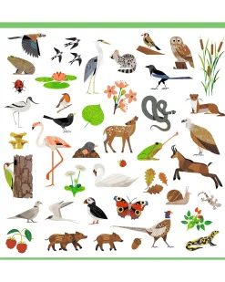 Kit 160 Adesivi - Tema Fauna - dai 4 ai 7 anni