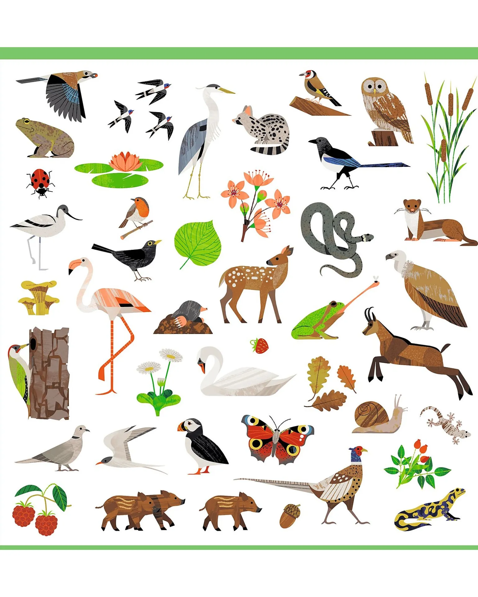 Kit 160 Adesivi - Tema Fauna - dai 4 ai 7 anni