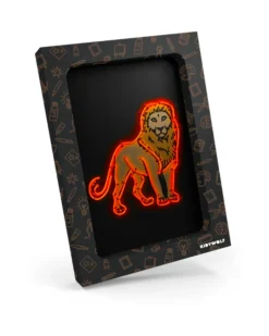 Kit Creativo Kidyneon - Arancione - Crea e Illumina le tue Idee