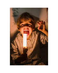 Lampada Portatile 3-in-1 Zoo Light - Volpe - con Modalità Sleep, Walk e Read
