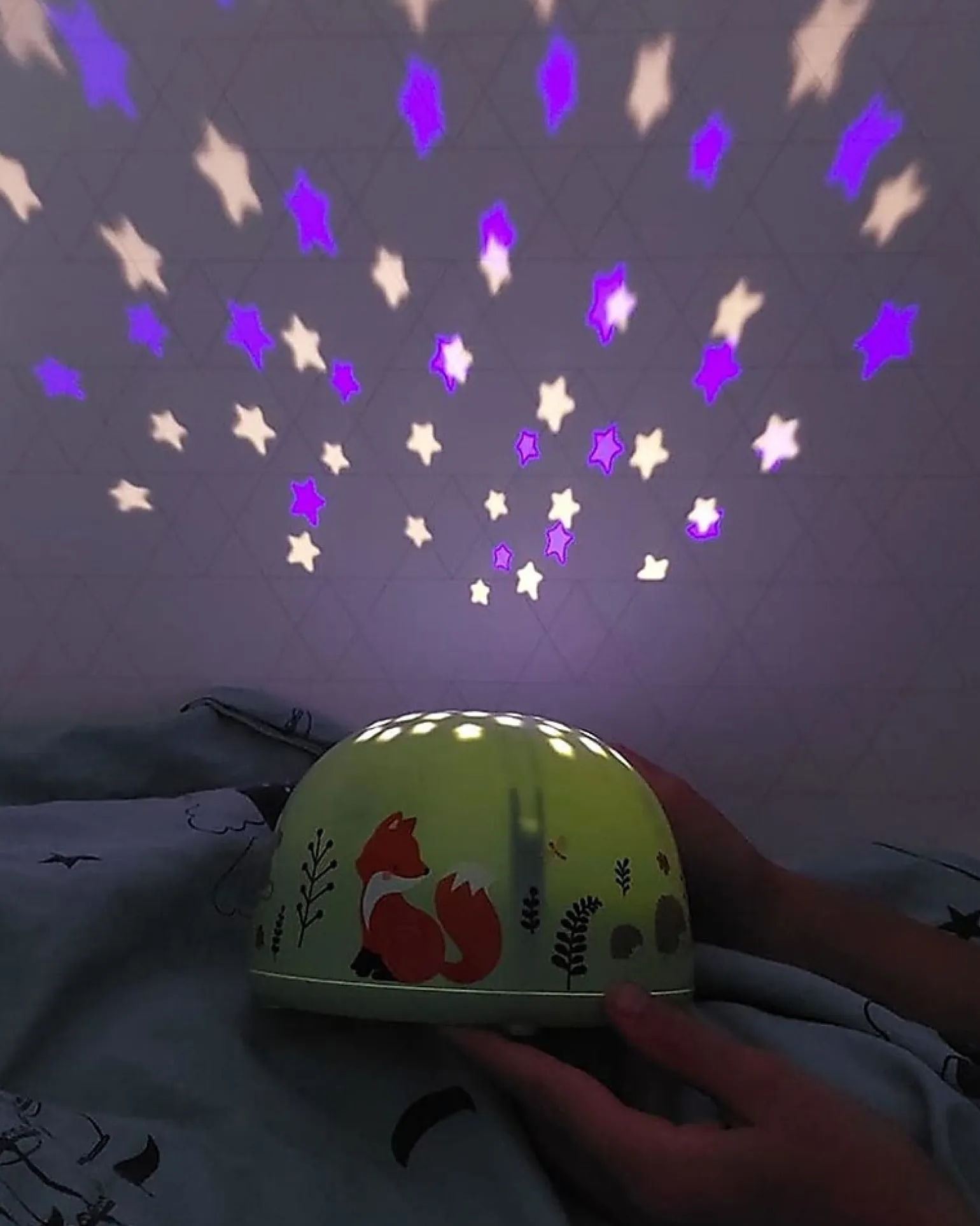 Luce LED Proiettore - Amici della Foresta - Stelle