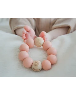 Massaggiagengive Animal - Scimmia - Rosa