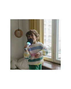 Microfono Tutto in Uno - Verde - Canta, Registra e Divertiti!