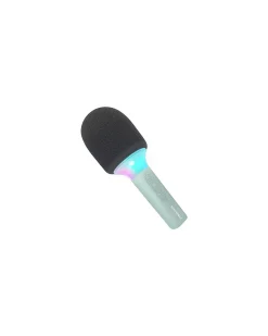 Microfono Tutto in Uno - Verde - Canta, Registra e Divertiti!