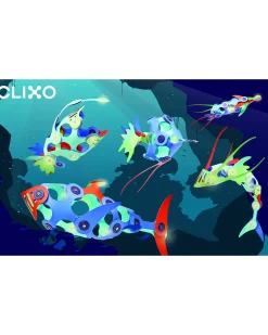 Ocean Creatures - 24 pezzi - Glow in The Dark - Gioco Magnetico STEAM - 6+ Anni