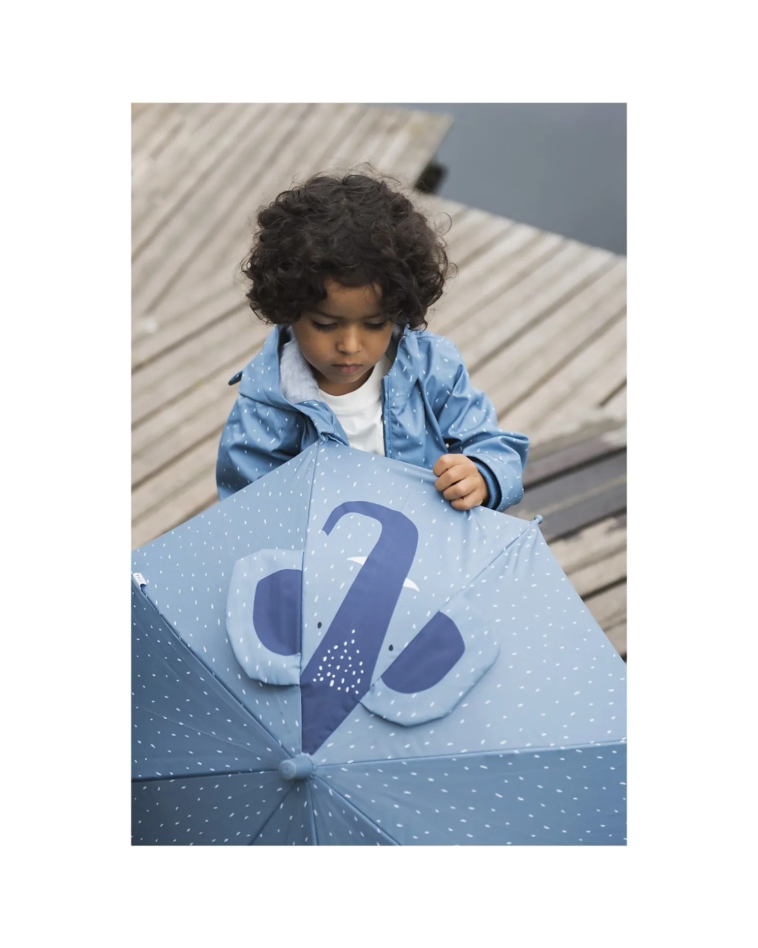 Ombrello Bimbo - Mrs Elephant - Azzurro - Diametro 70 cm