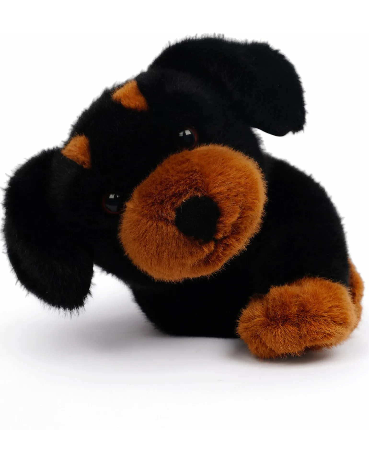 Peluche Ponderato Pumpkin il Bassotto Sdraiato - il Peluche che ti Abbraccia - 33 x 13 x 12 cm - 100% Materiali Riciclati