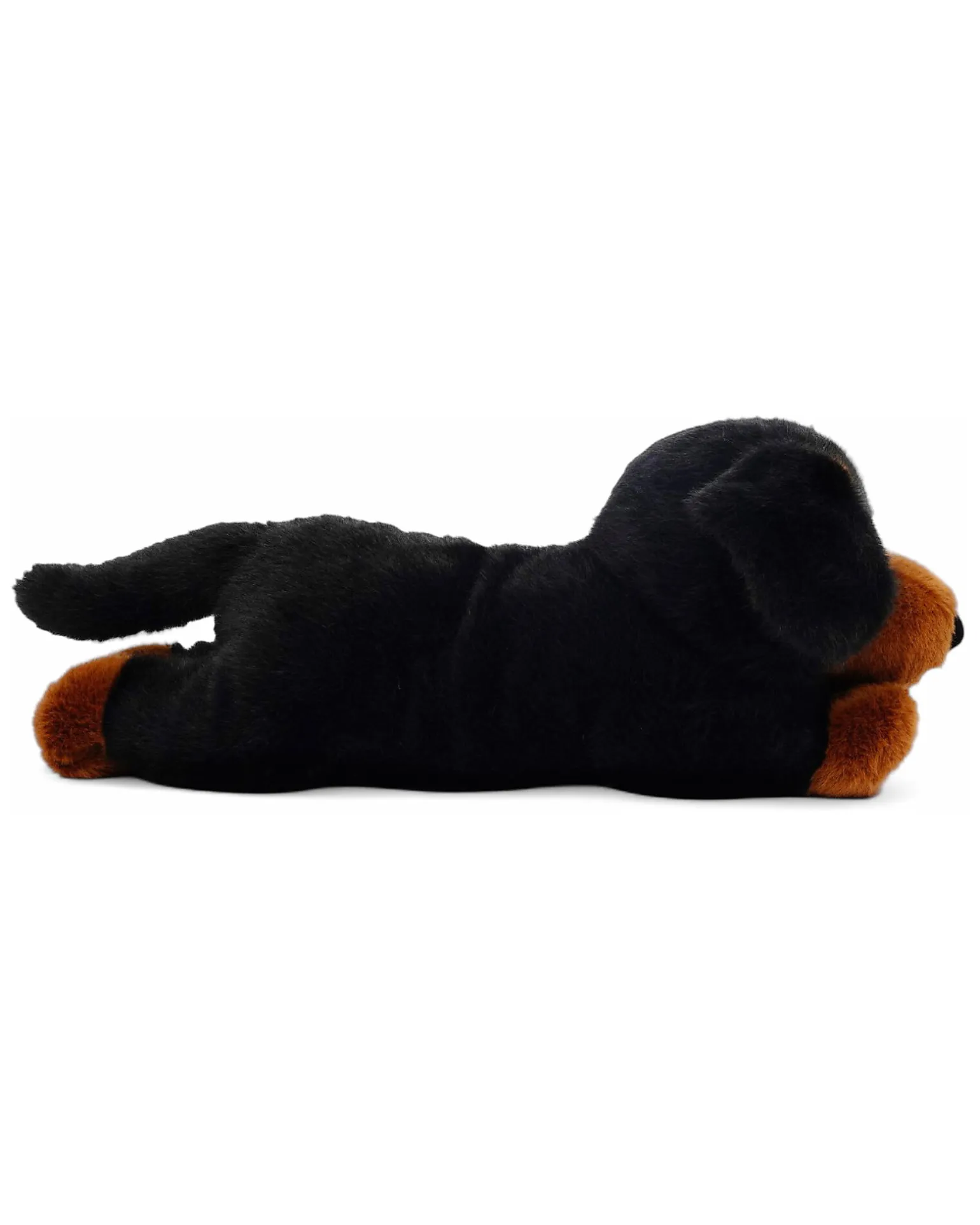 Peluche Ponderato Pumpkin il Bassotto Sdraiato - il Peluche che ti Abbraccia - 33 x 13 x 12 cm - 100% Materiali Riciclati