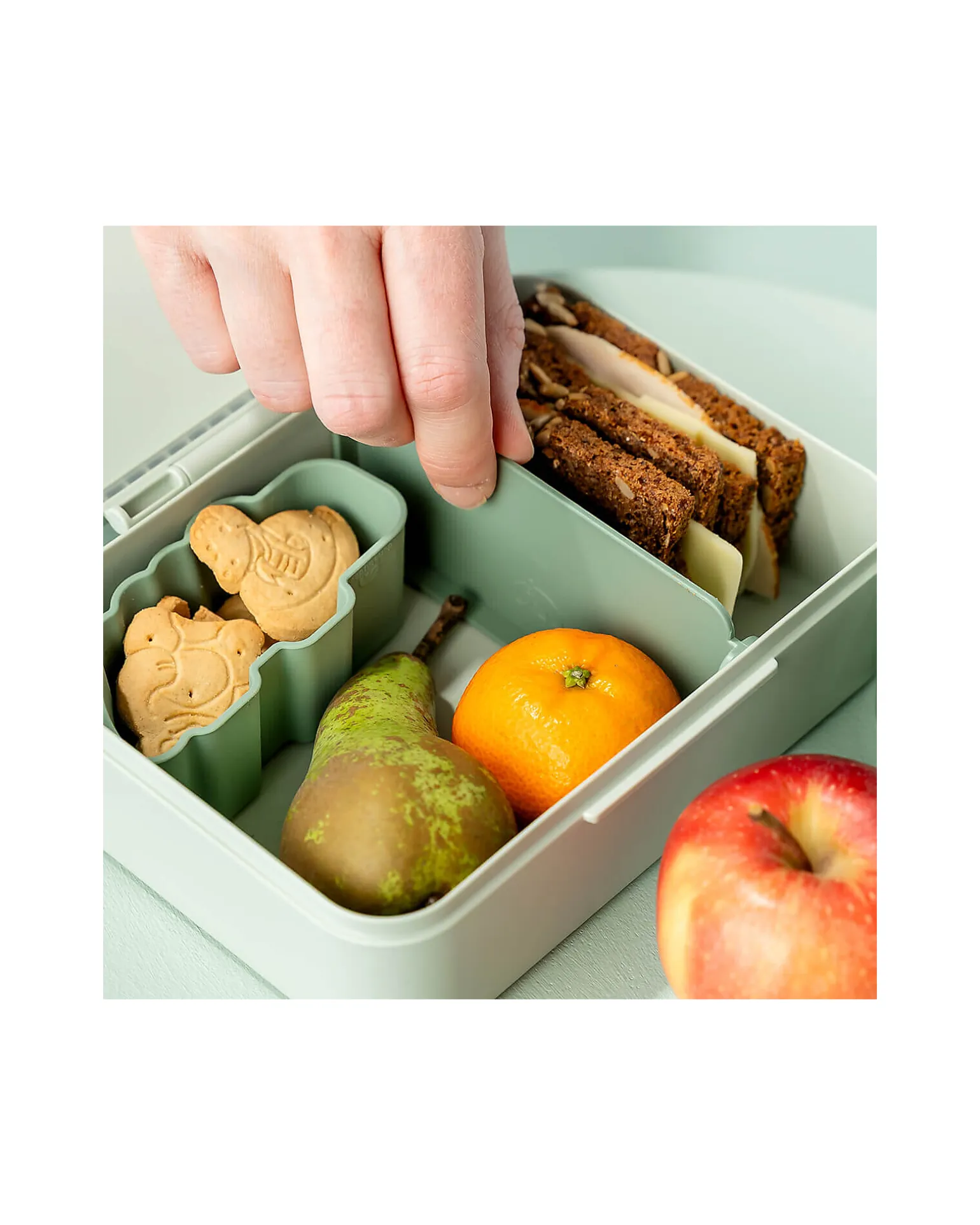 Portapranzo con Divisorio - Playground - Verde - Perfetto per Piccole Manine!