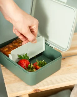 Portapranzo con Divisorio - Tiny Trails - Verde - 17,5 x 13 x 6,5 cm - 100% PP Alimentare
