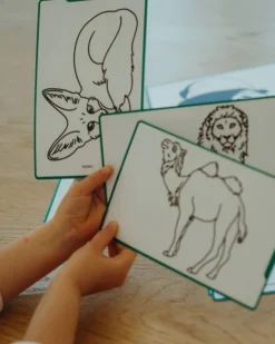 Ricarica per Kidydraw Mini - Animali e Pirati