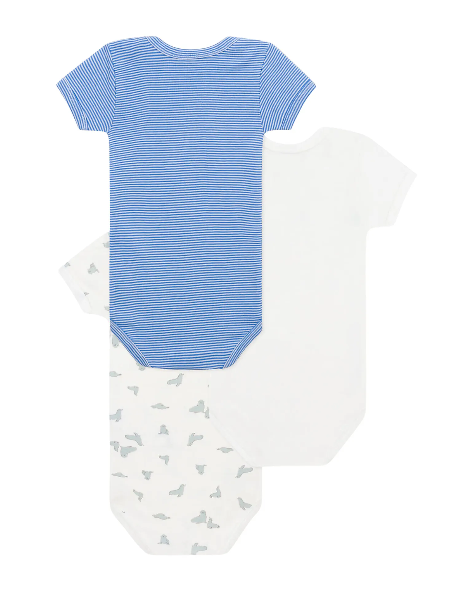 Set 3 Body a Maniche Corte - Bianco - Blu millerighe - Foche - 100% Cotone