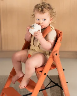Set Cintura a 5 Punti + Cuscino per Sedia Evolutiva KLAPP - Terracotta
