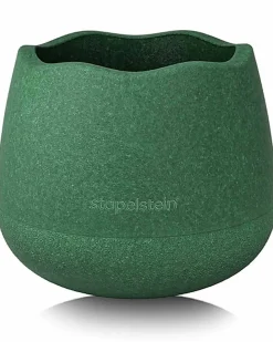 Set Dynamic Small con Pad- Water Lily - Edizione Limitata - Per Muoversi fin da Piccoli!