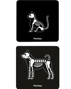 Set Gioco in Legno Borsa del Veterinario