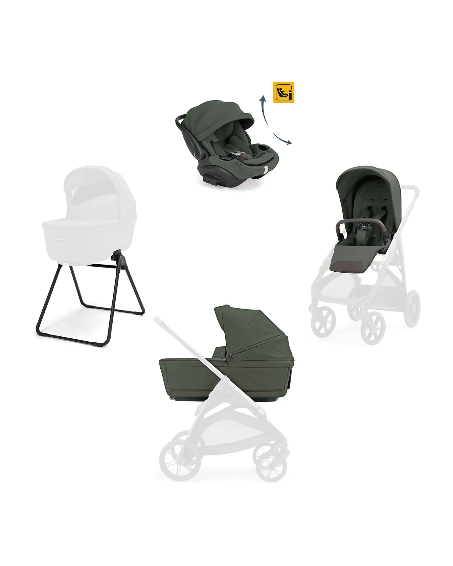 System Quattro Aptica Darwin Recline EVO - Ivy Green
