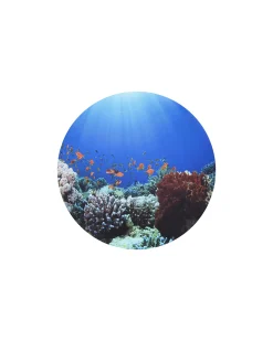 Tappetino da Gioco - Under the Sea Discovery - Diametro 62,5 cm