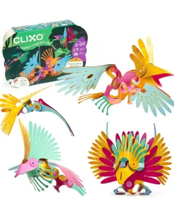 Tropical Birds - 22 Pezzi - Gioco Magnetico STEAM - 4+ Anni