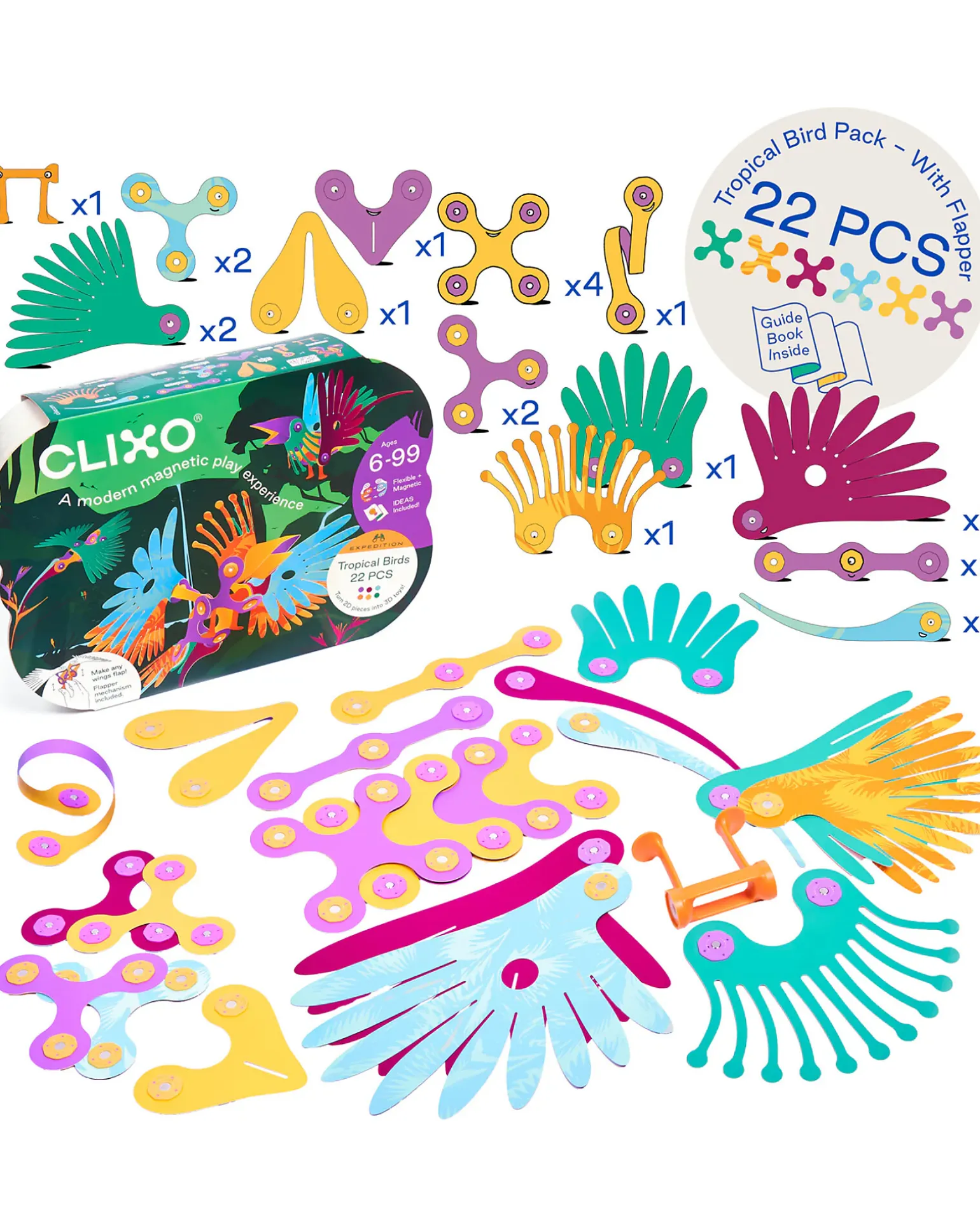 Tropical Birds - 22 Pezzi - Gioco Magnetico STEAM - 4+ Anni